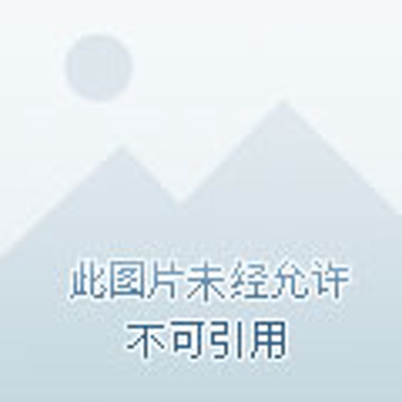 深圳文化艺术的璀璨光芒：一场视觉与心灵的盛宴